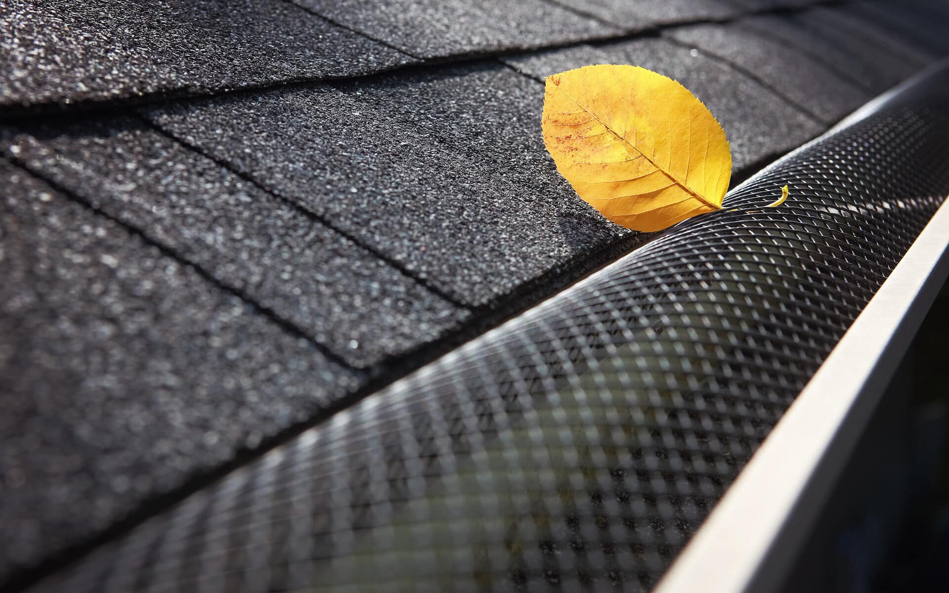 are gutter guards worth it?