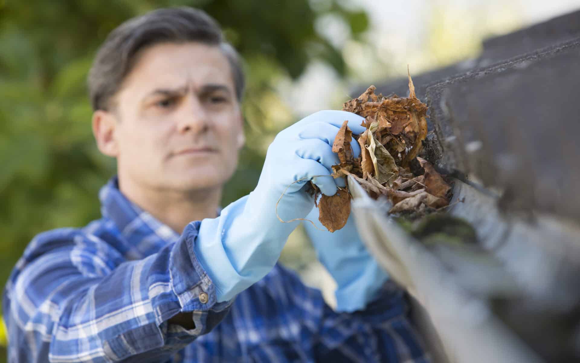 Fall Home Improvement, cleaning gutters