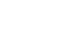 IREM logo.