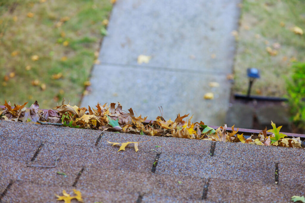 Leaves clogging gutters on a residential home.